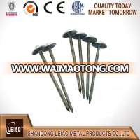 Umberlla Head Roofing Nails