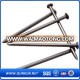 Common Nails/Coil Roofing Nail on Sale